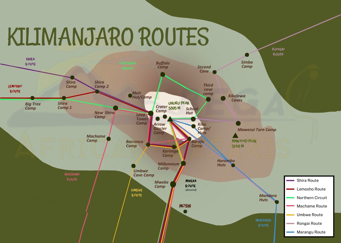 Mbega African safaris